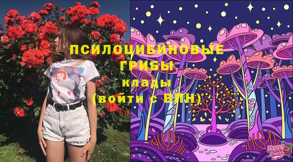 стаф Алзамай