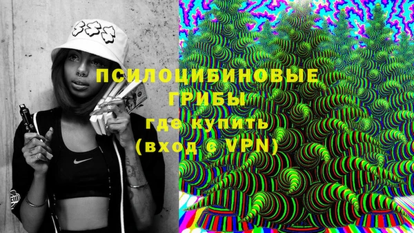PSILOCYBIN Нягань