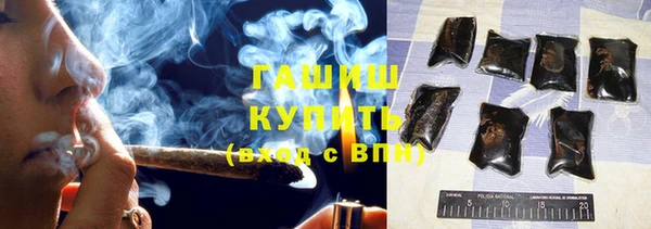 стаф Алзамай